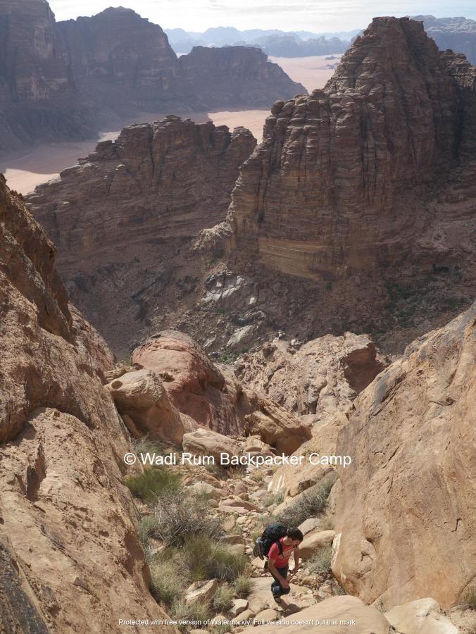 Wadi Rum Backpacker Camp Extérieur photo